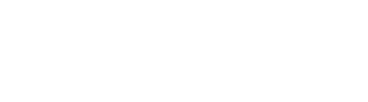 Mavenbird Logo
